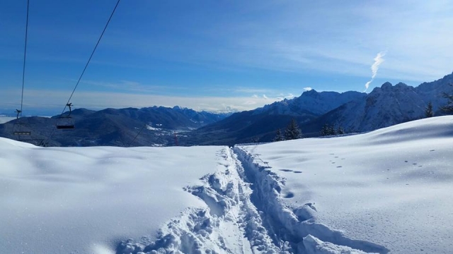  Snow fresca 