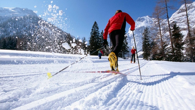  ski 
