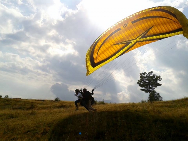 run run run and fly 