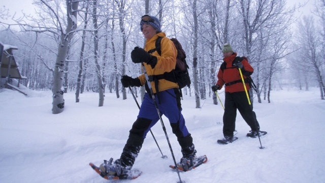 Attraversando i boschi
