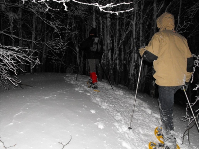 夜雪鞋