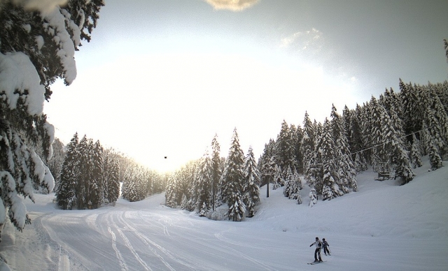  ski de fond 