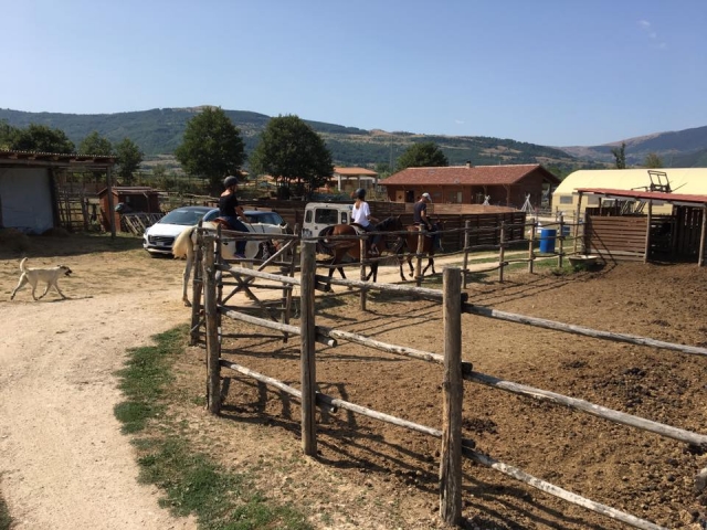  Zurück zur Ranch 