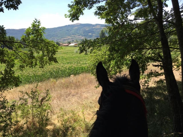  Visuals bei Spaziergängen