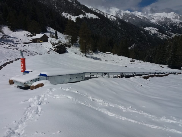  La neve