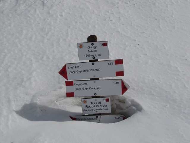  muita neve? 