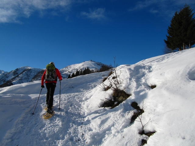 Vieni a provare questa esperienza unica sulla neve