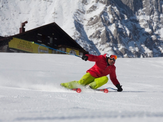  Professionelle Ski 