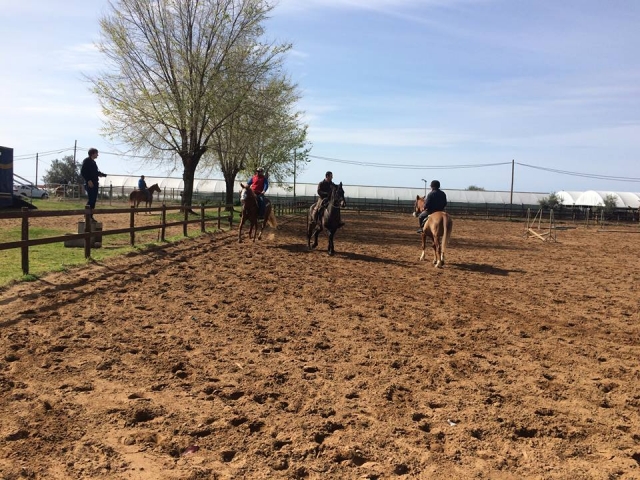 Il nostro campo pascolo e i nostri cavalli