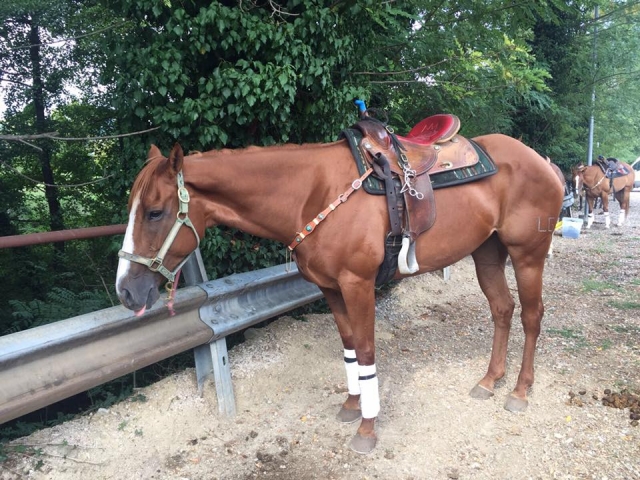 Uno dei nostri esemplari