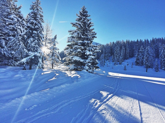 Scendi a valle con noi