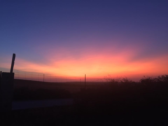  The last light of the day from our riding school 