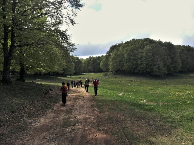  Passeggiata in pianura, relax guarantee 