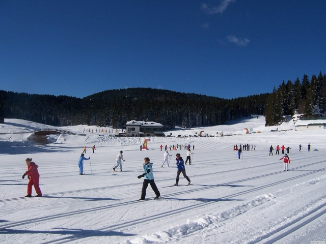 Pronti ai posti via!