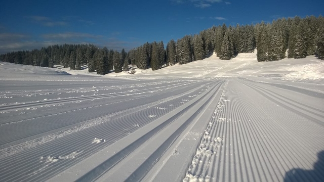 Piste perfette