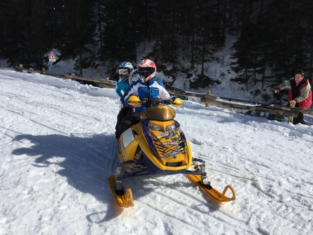  Modèle en jaune 
