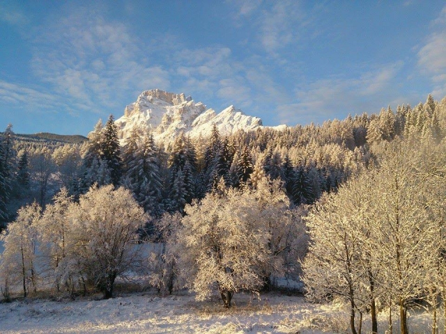 雪景