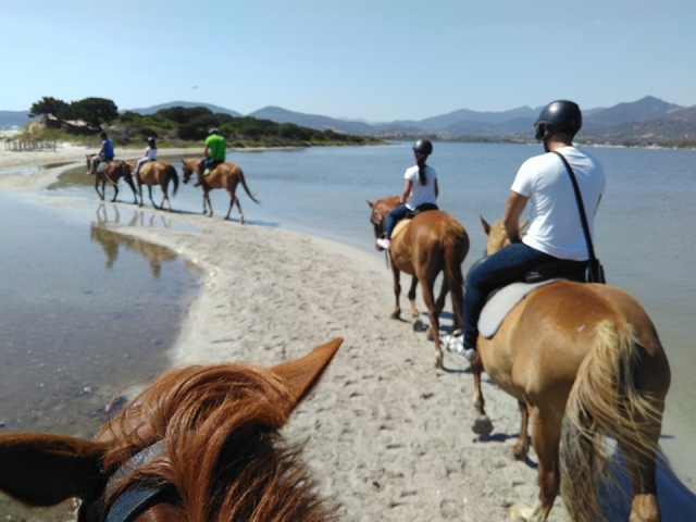  komm und mach einen spaziergang mit uns der spaß ist garantiert 