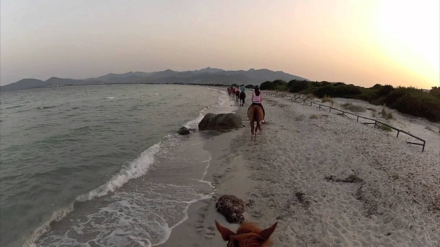  Auch am Meer mit unseren wunderschönen Pferden 