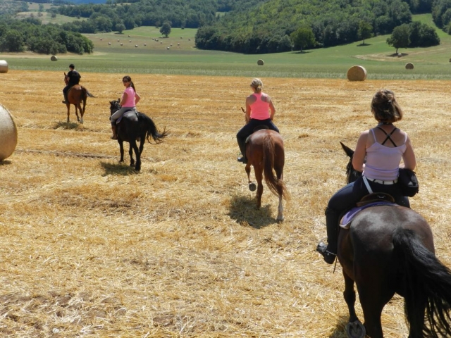 Vieni a fare una passeggiata con noi
