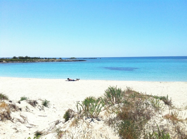  The paradise of porto cesareo 