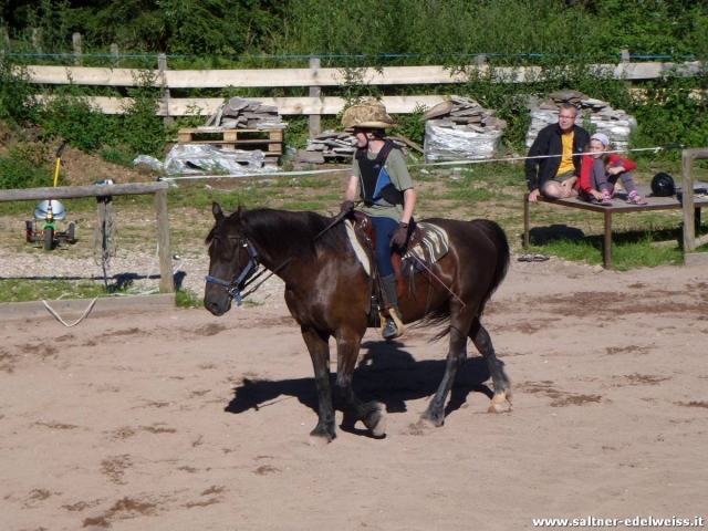  venez suivre nos cours 