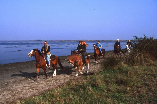 Passeggiate sulla spiaggia di romea
