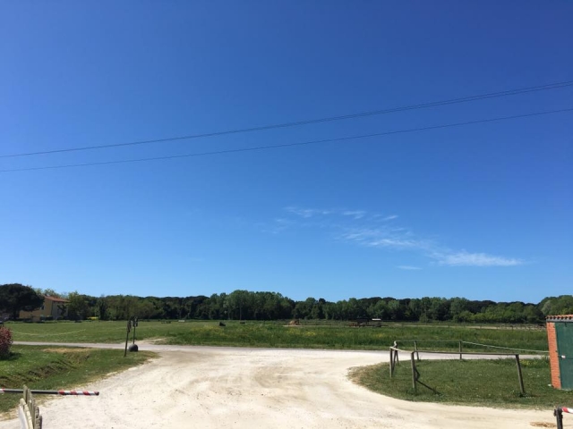  our Horse Center 