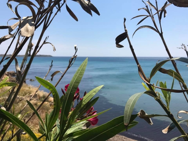 Colori di calabria