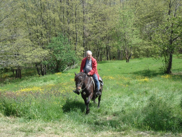  faire une belle promenade à travers les prés, la détente est garantie 