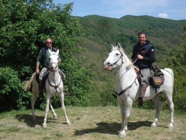  Nos fantastiques chevaux blancs 