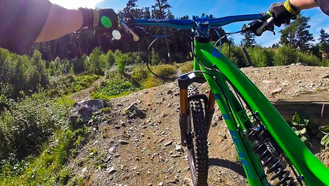 Scegli le mountain bike migliori