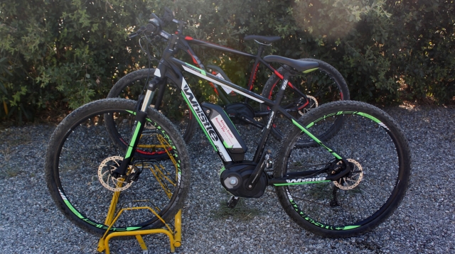 Alcuni delle nostre mountain bike