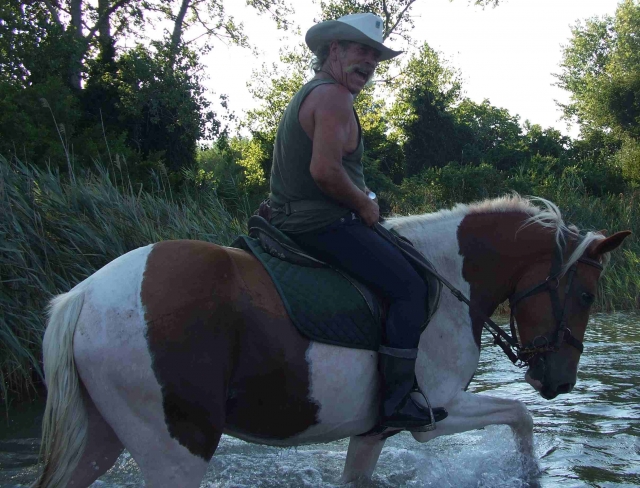  La conducción a caballo es adecuada para todos 