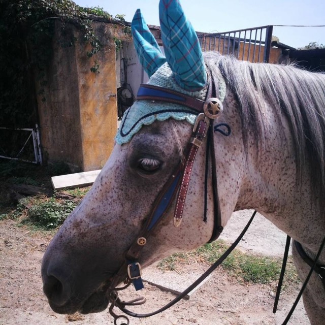 Un bellissimo profilo