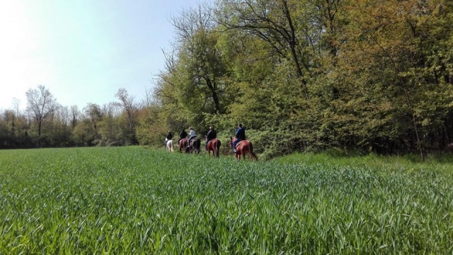 In mezzo al verde