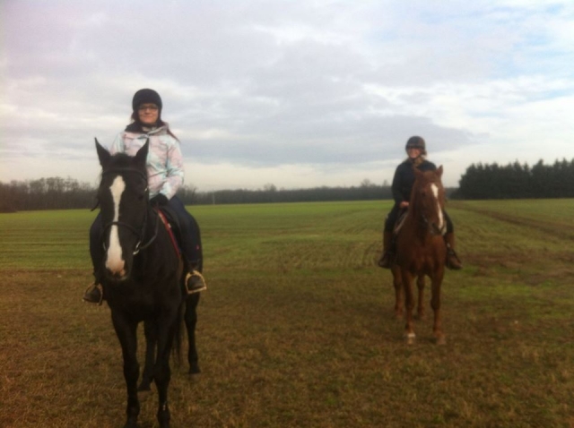 Tour a cavallo