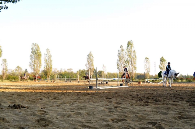 我们的骑术学校