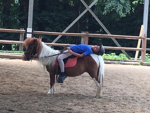 Riposarsi con un pony