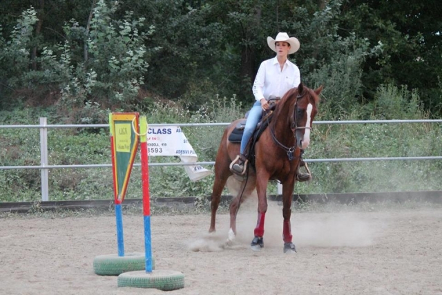 Amitié et formation