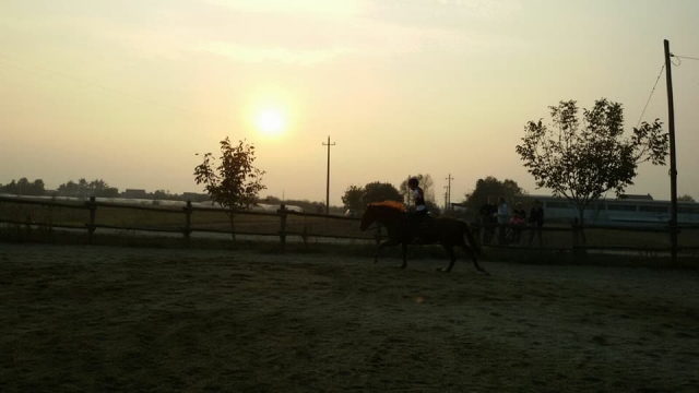 Allenamento da campione