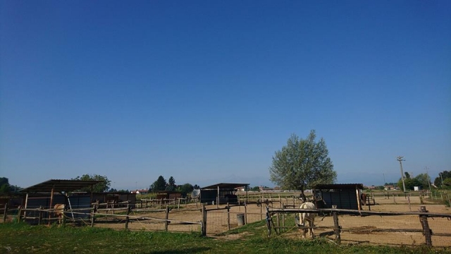 Bel tempo presso il nostro maneggio