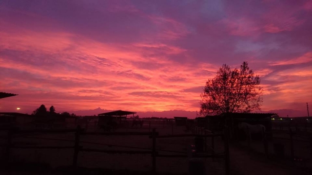 le ultime luci del giorno sul nostro maneggio