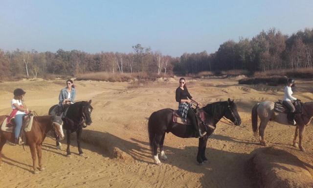  Nuestros caballos -cherish Friends 