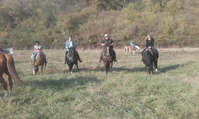  una gira en el verde 