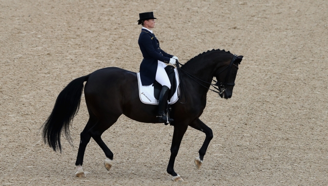 Art of Dressage 
