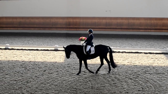 non perdere altro tempo, il nostro team ti aspetta