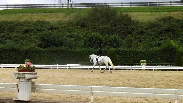 una meraviglia unica