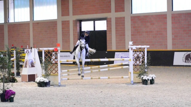 vieni e partecipa alle lezioni di salto ostacoli