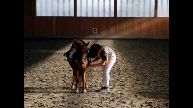 L'amore per l'equitazione fin da piccoli